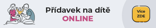 On line příspěvek na dítě