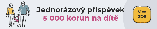 Jednorázový příspěvek 5000 na dítě