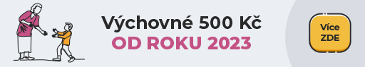 Výchovné
